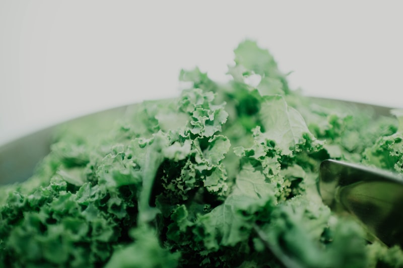 10 Benefits of Eating Kale (And How to Actually Enjoy It) fresh kale in a white bowl